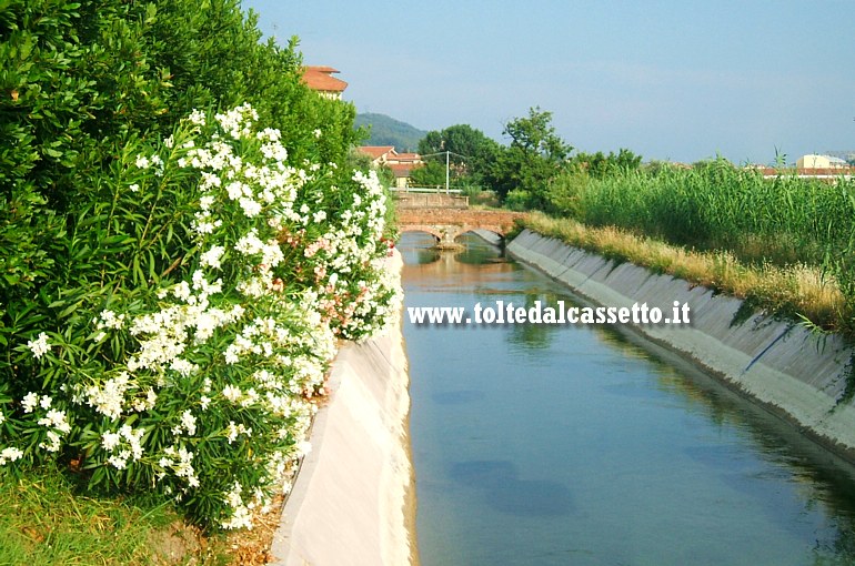 CANALE LUNENSE - Paesaggio da Via Tavilla a Santo Stefano di Magra