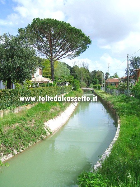 CANALE LUNENSE - Paesaggio da Via della Fortezza a Sarzana