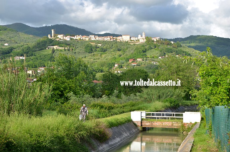 CANALE LUNENSE - Paesaggio sotto il colle di Castelnuovo Magra