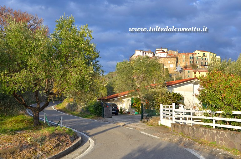 LUNI - Scorcio al tramonto del borgo di Nicola immerso negli ulivi, come si vede dalla strada comunale