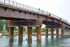 PONTE DELLA COLOMBIERA - I nuovi piloni e la campata centrale vista dal basso