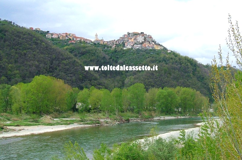 VEZZANO LIGURE - Vegetazione sul fiume Magra