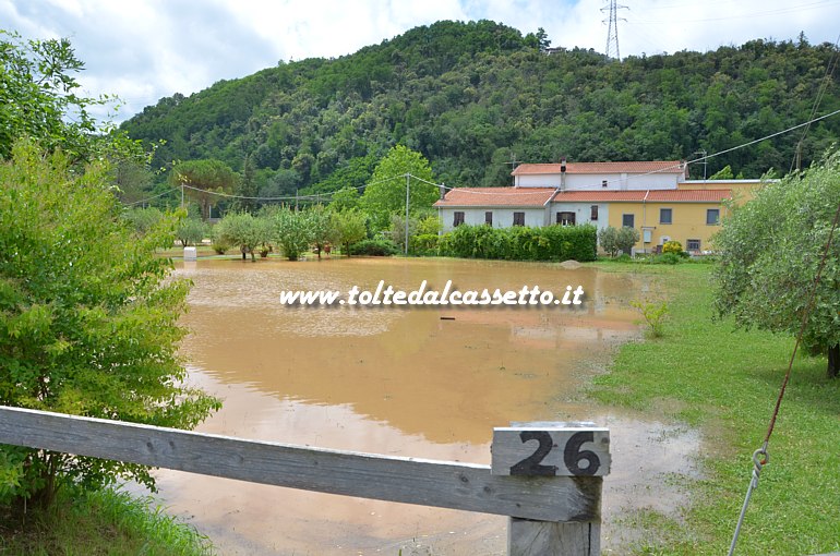 ARCOLA (Nubifragio del 14-06-2016) - La campagna ridotta ad un acquitrino