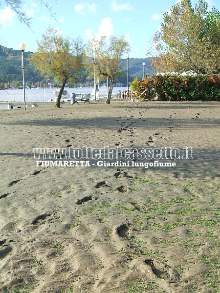 FIUMARETTA (Alluvione del 25 ottobre 2011) - Giardini lungofiume rovinati dall'acqua e dalla melma, cosa che accade ogni volta che il Magra esonda