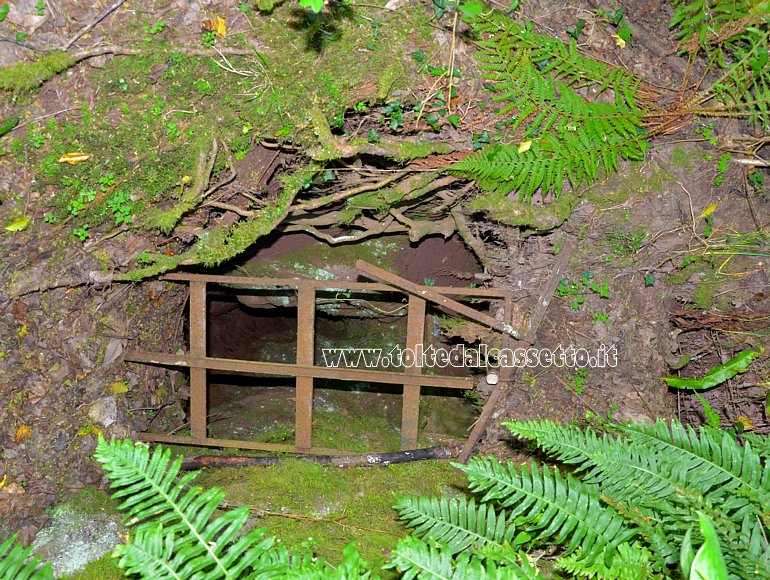 CASSANA di BORGHETTO VARA - Entrata della caverna dell'orso speleo