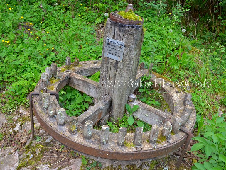 CASSANA di BORGHETTO VARA - Ruota dentata del "Mulino del Ponte"