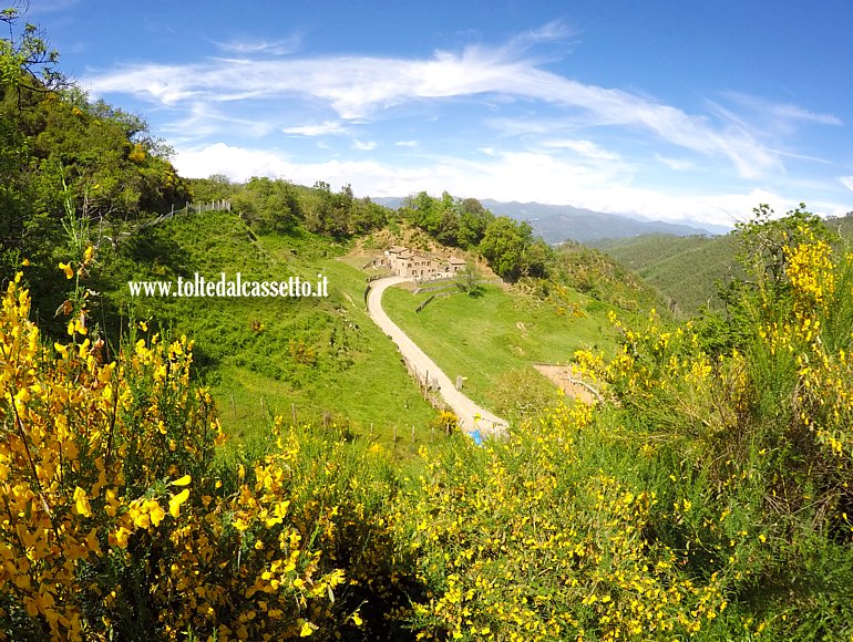 LA VIA DEI MONTI - Paesaggio con ginestre e agriturismo sulla Foce del Bardellone