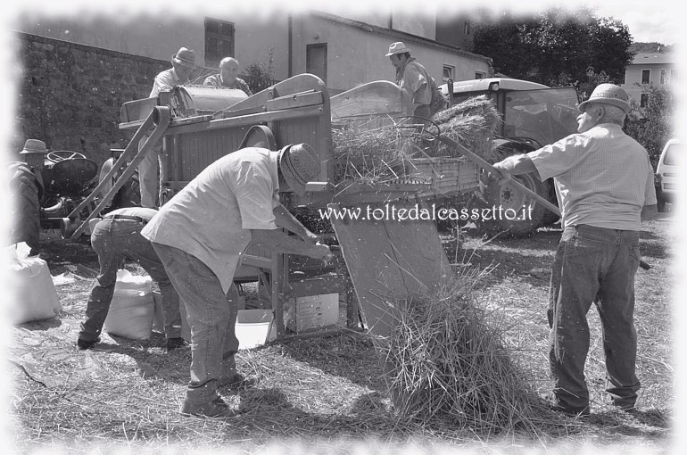 SAN PIETRO VARA in fiera - Battitura del grano con attrezzature d'epoca