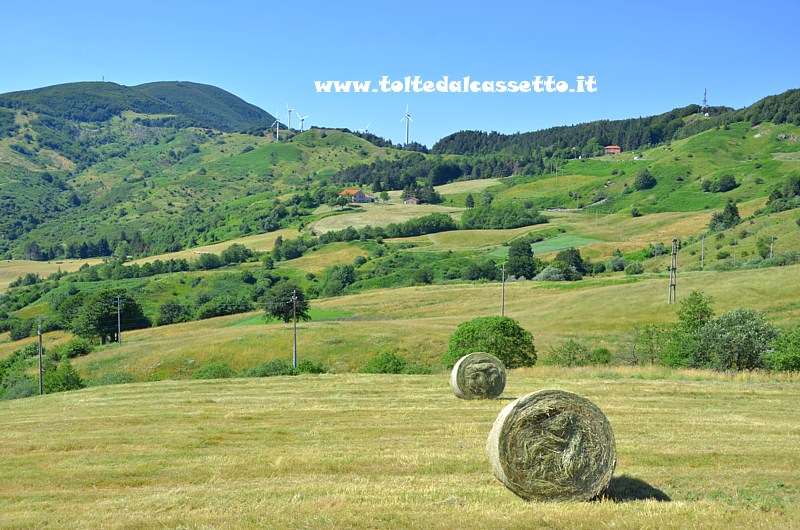 COMUNE DI VARESE LIGURE - La scarsa vegetazione e i generatori eolici del Colle di Cento Croci