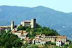 CASTIGLIONE DEL TERZIERE - Panorama