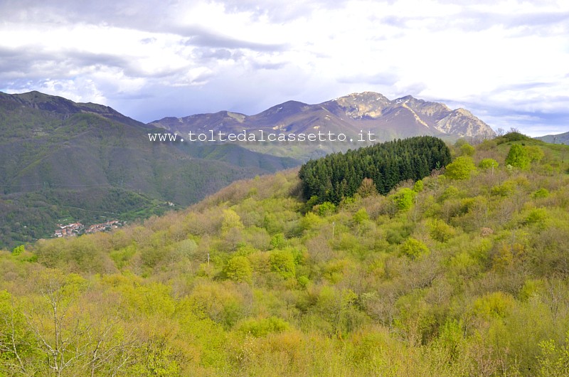 PASSO DELLA CISA - Il crinale a sud-est dell'Appennino Tosco-Emiliano