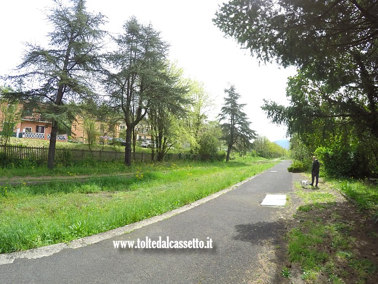 TERRAROSSA - Il lungo rettilineo della pista ciclopedonale che scorre tra piante di alto fusto