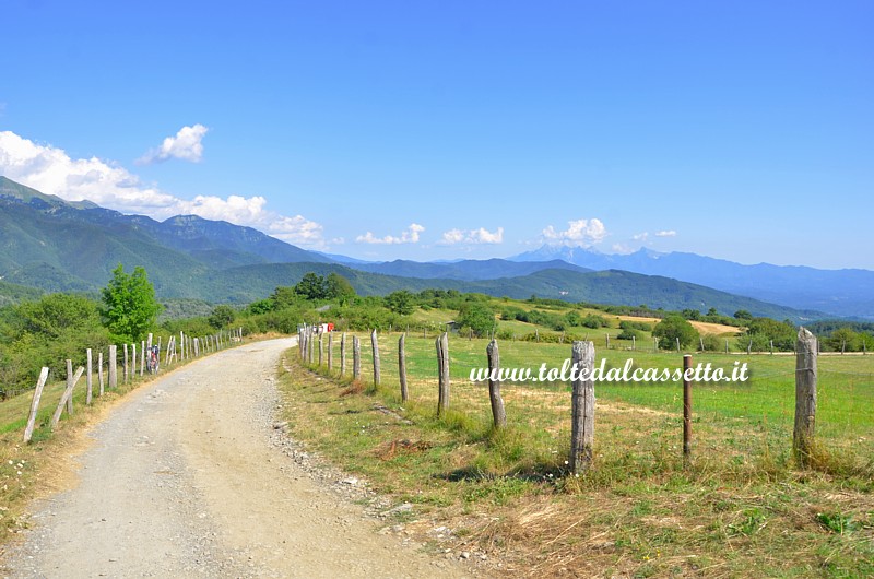 PRATI DI LOGARGHENA (Comune di Filattiera) - Paesaggio con sfondo le Alpi Apuane