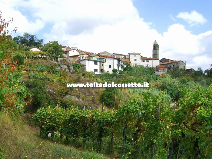 VECCHIETTO (comune di Aulla) - Il centro storico del borgo domina la campagna sottostante coltivata a vigneto