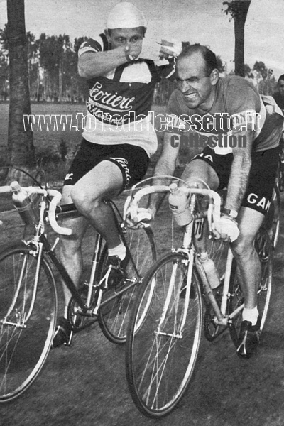 GIRO D'ITALIA 1953 - Luigi Casola scherza con Fiorenzo Magni e gli asciuga il sudore dalla fronte